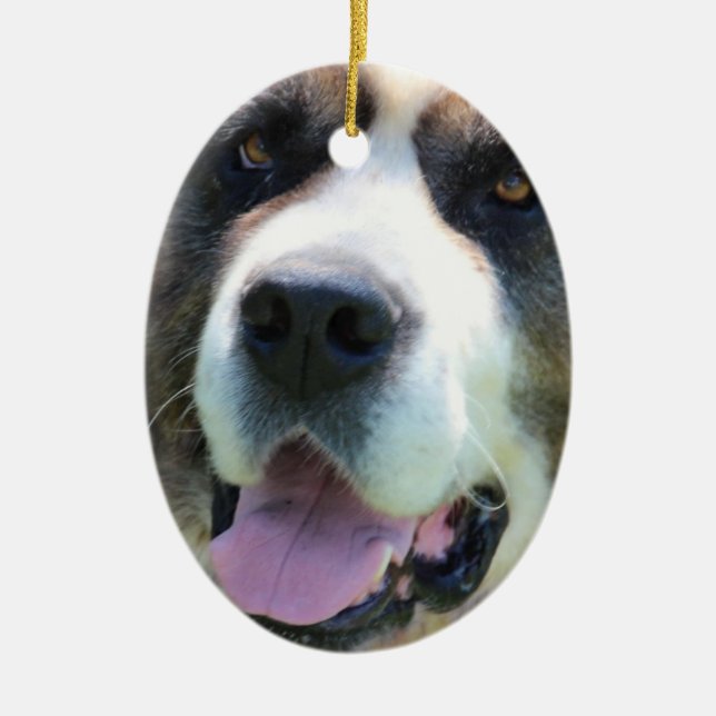 Ornamento De Cerâmica Personalize o produto (Frente)