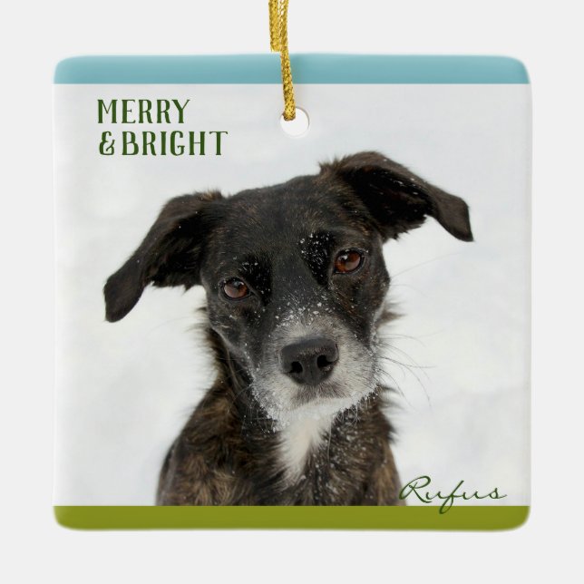 Ornamento De Cerâmica Personalized Best Dog or Puppy Photo Picture Name (Frente)