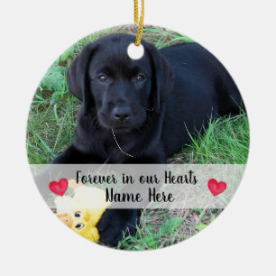 Ornamento De Cerâmica Personalized Dog Photo Pet Loss Pet Memorial
