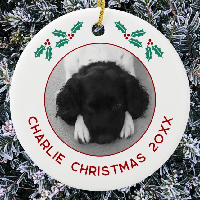 Ornamento De Cerâmica Personalized Pet Puppy Dog Christmas Photo (Personalized custom name year puppy dog photo Christmas ceramic ornament for animal lovers)