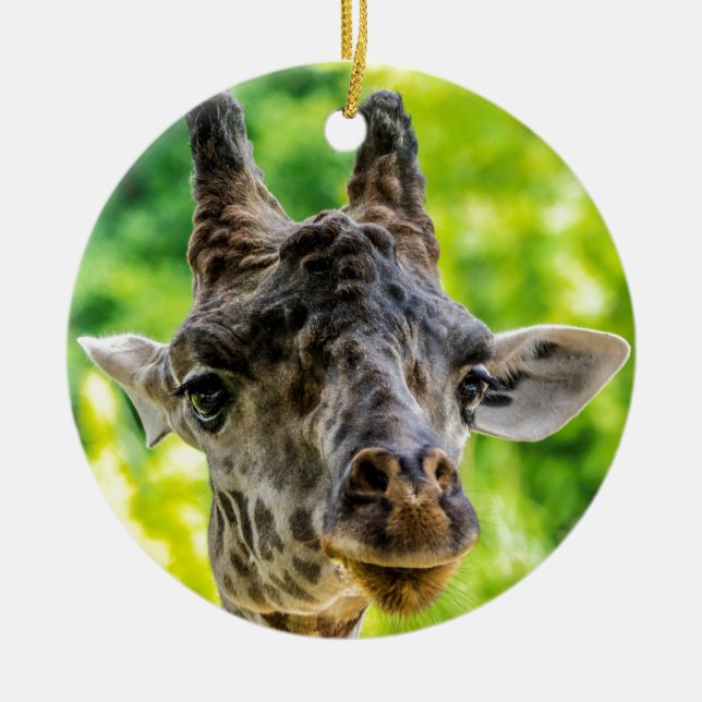 Ornamento De Cerâmica Pestanas do girafa (Frente)