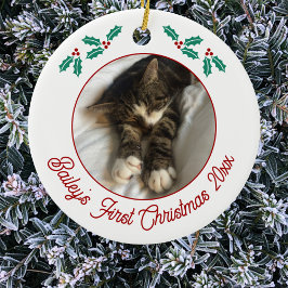 Ornamento De Cerâmica Pet Cat Personalizado Primeira Foto de Natal