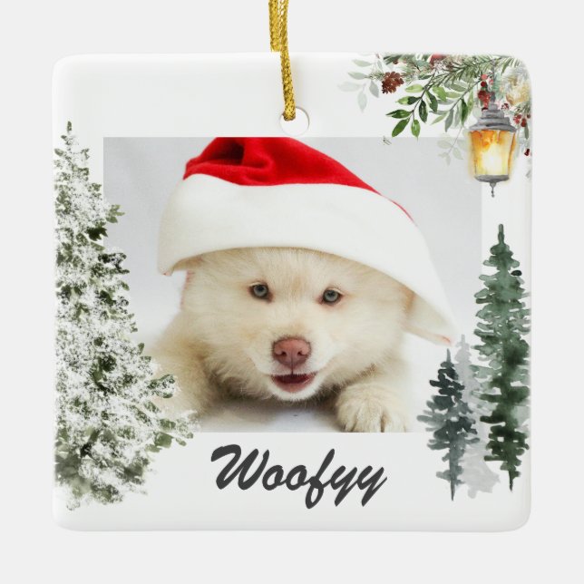 Ornamento De Cerâmica Pet de Foto de Natal do Landscape Winter (Frente)