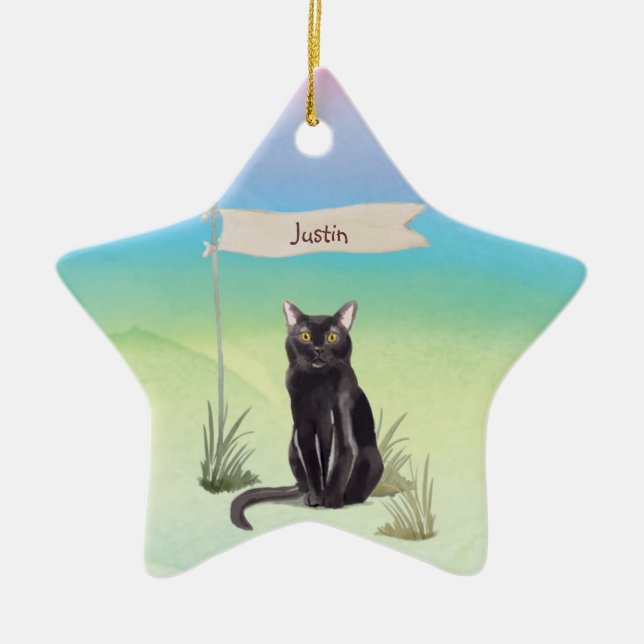 Ornamento De Cerâmica Pet de Gato Bombardeiro de Nome Personalizado (Frente)