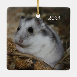 Ornamento De Cerâmica Pet de Hamster Branco de inverno