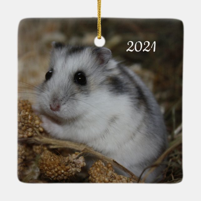 Ornamento De Cerâmica Pet de Hamster Branco de inverno (Verso)