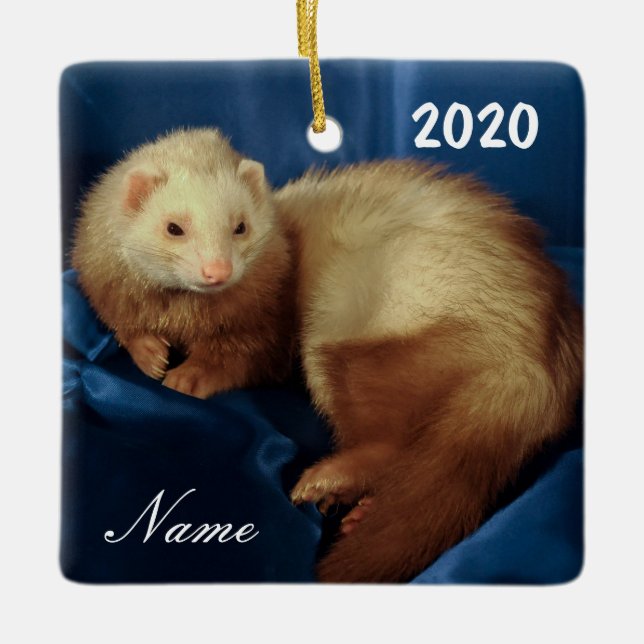 Ornamento De Cerâmica Pet Ferret Personalizado (Frente)