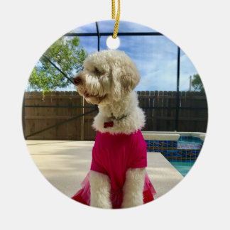 Ornamento De Cerâmica Pet Fotográfico Personalizado