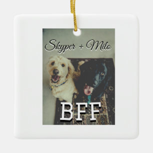 Ornamento De Cerâmica Pet Frities adiciona nome e foto animal amor