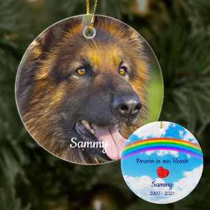 Ornamento De Cerâmica Pet Losd Rainbow Bridge Pet Dog Foto Memorial