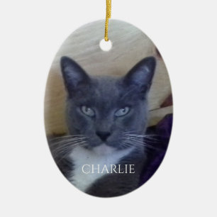 Ornamento De Cerâmica PET LOVE Oval Cerâmica Ornament