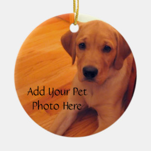 Ornamento De Cerâmica Pet Lover Animal Photo Ornament