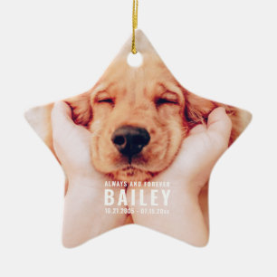 Ornamento De Cerâmica Pet Memorial Fotografia Moderna Sempre e para Semp