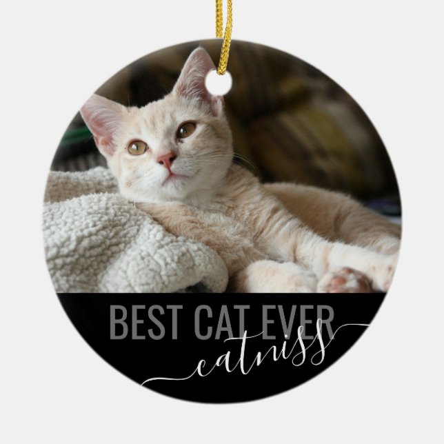 Ornamento De Cerâmica Pet Personalizado Melhor Gato De Todos Os Modernos (Frente)