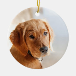 Ornamento De Cerâmica Pet Photo