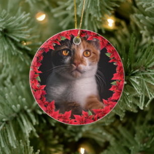 Ornamento De Cerâmica Pet Photo Christmas