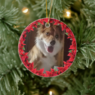 Ornamento De Cerâmica Pet Photo Christmas