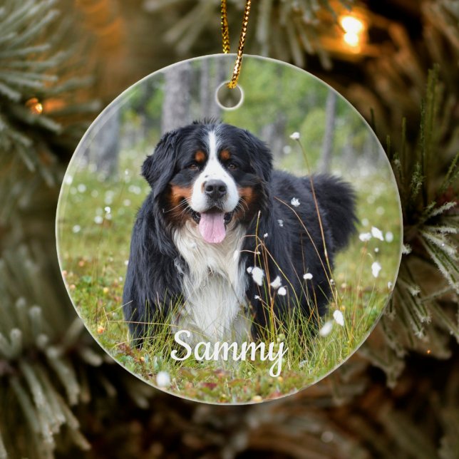 Ornamento De Cerâmica Pet Photo Dog Personalizado Pover Puppy Natal (Criador carregado)