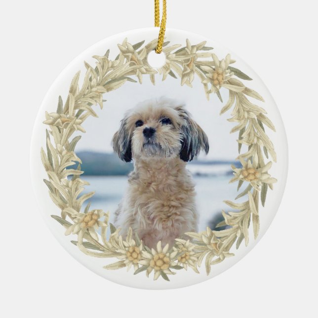 Ornamento De Cerâmica Pet Photo Edelweiss Alpino Floral Wreath (Frente)