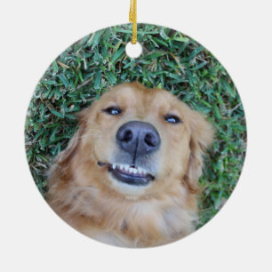 Ornamento De Cerâmica Pet Photo Ornament