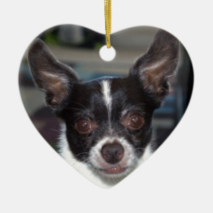 Ornamento De Cerâmica Petey a chihuahua