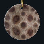 Ornamento De Cerâmica Petoskey Stone<br><div class="desc">Show that you’re smitten with the mitten with this Petoskey stone design. Celebrate the Great Lakes!</div>