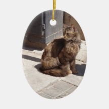 Petra Gato Persa de Cabelo Longo