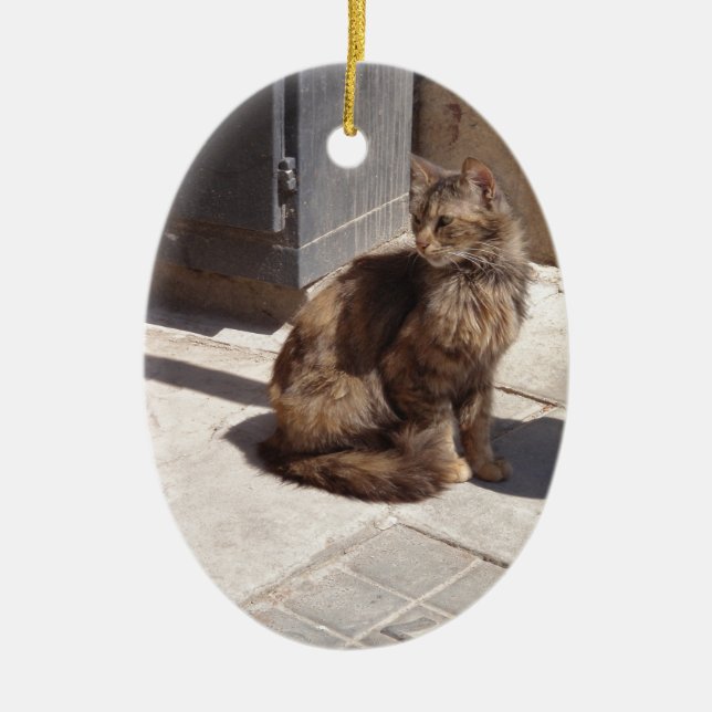 Ornamento De Cerâmica Petra Gato Persa de Cabelo Longo (Frente)