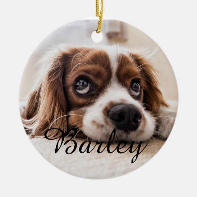 Ornamento De Cerâmica Pet's Simple Elegant Dog Name and Photo Christmas (Frente)