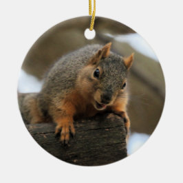 Ornamento De Cerâmica Pfft