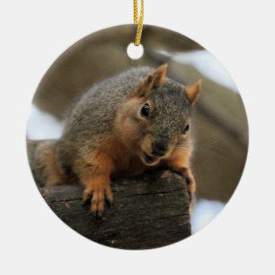 Ornamento De Cerâmica Pfft