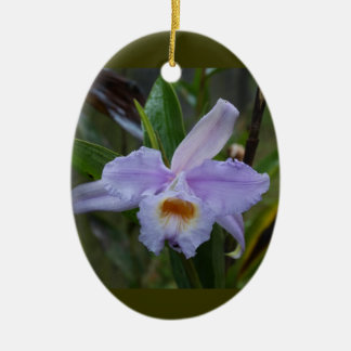 Ornamento De Cerâmica Photos