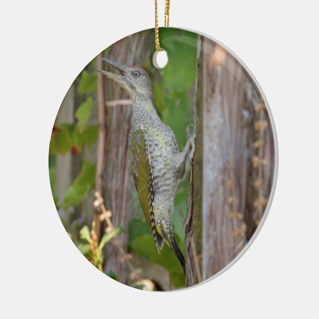 Ornamento De Cerâmica Picus Viridis - Grünspecht (Esquerda)