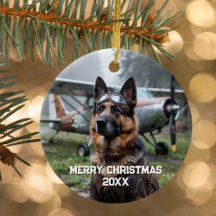 Piloto de Avião Cachorro Foto Engraçada de Aviação