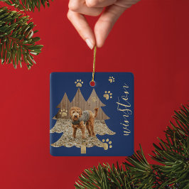 Ornamento De Cerâmica Pine Tree Forest Personalizada Pet Foto e Nome Pw 