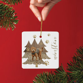 Ornamento De Cerâmica Pine Tree Forest Personalizada Pet Foto e Nome Pw 
