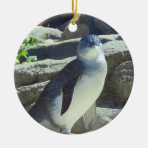 Ornamento De Cerâmica Pinguim