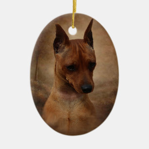 Ornamento De Cerâmica Pinscher diminuto