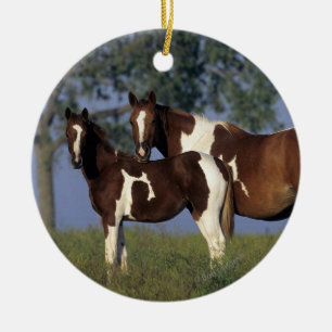 Ornamento De Cerâmica Pinte HMare & Foal