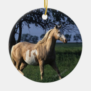 Ornamento De Cerâmica Pinte o cavalo que está 2