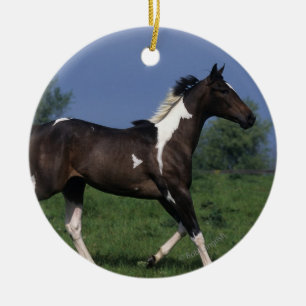 Ornamento De Cerâmica Pinte o cavalo que funciona 2