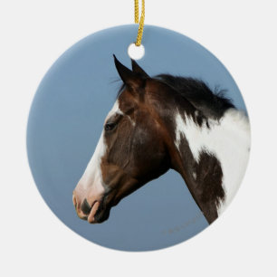 Ornamento De Cerâmica Pinte o Headshot 1 do cavalo
