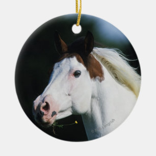 Ornamento De Cerâmica Pinte o Headshot 3 do cavalo