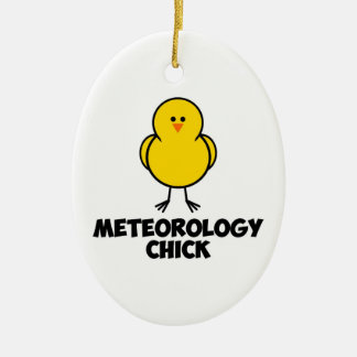 Ornamento De Cerâmica Pintinho de Meterology