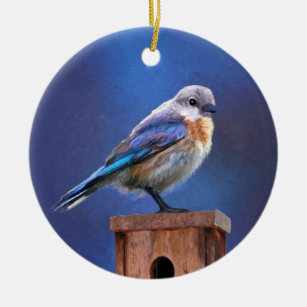 Ornamento De Cerâmica Pintura de pássaro-azul (feminina) - Arte de pássa