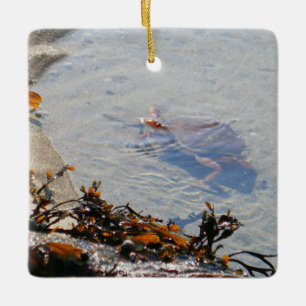 Ornamento De Cerâmica Piscina de maré na Praia de Areia