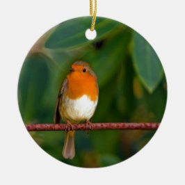 Ornamento De Cerâmica Pisco-de-peito-vermelho-de-natal