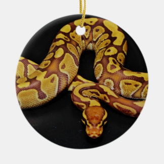 Ornamento De Cerâmica Pitão da bola de Brown e de ouro
