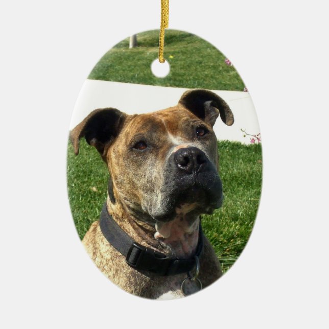 Ornamento De Cerâmica Pitbull (Frente)
