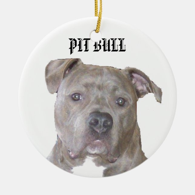 ORNAMENTO DE CERÂMICA PITBULL (Frente)